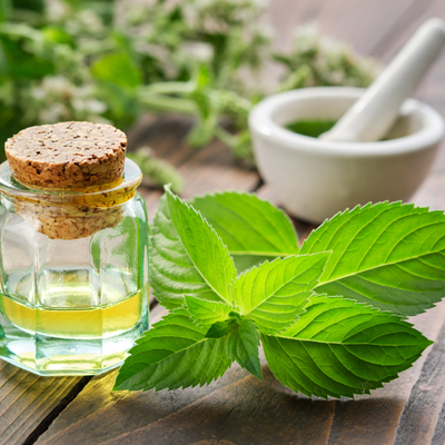 Peppermint Oil