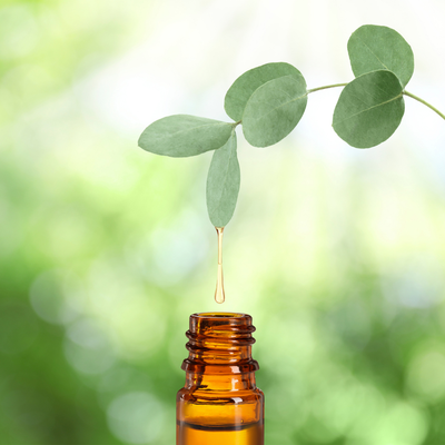 Eucalyptus Oil