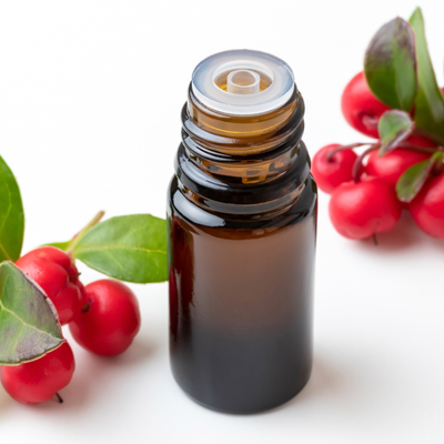 Wintergreen